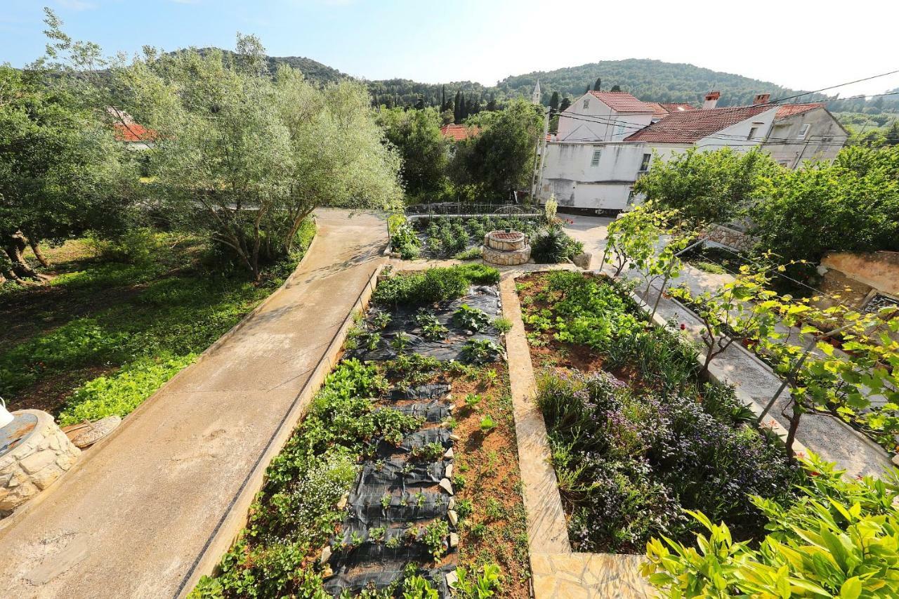 Senkini Dvori Apartamento Sutomiscica Exterior foto